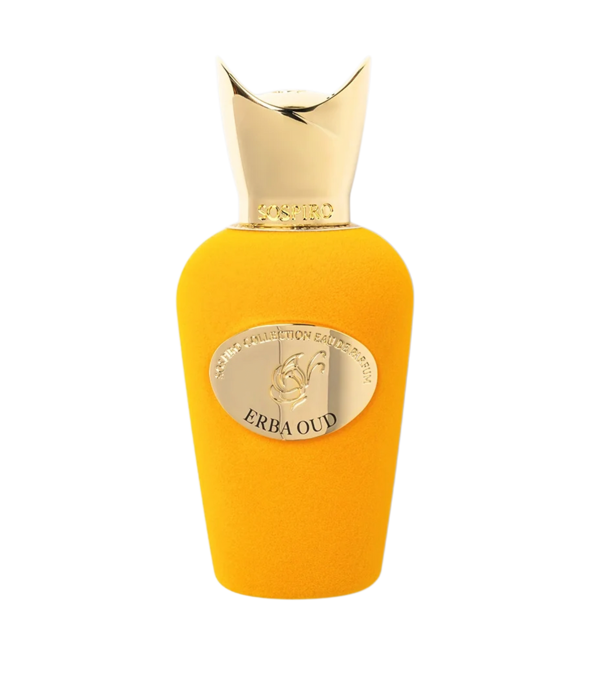 ERBA OUD Eau de Parfum
